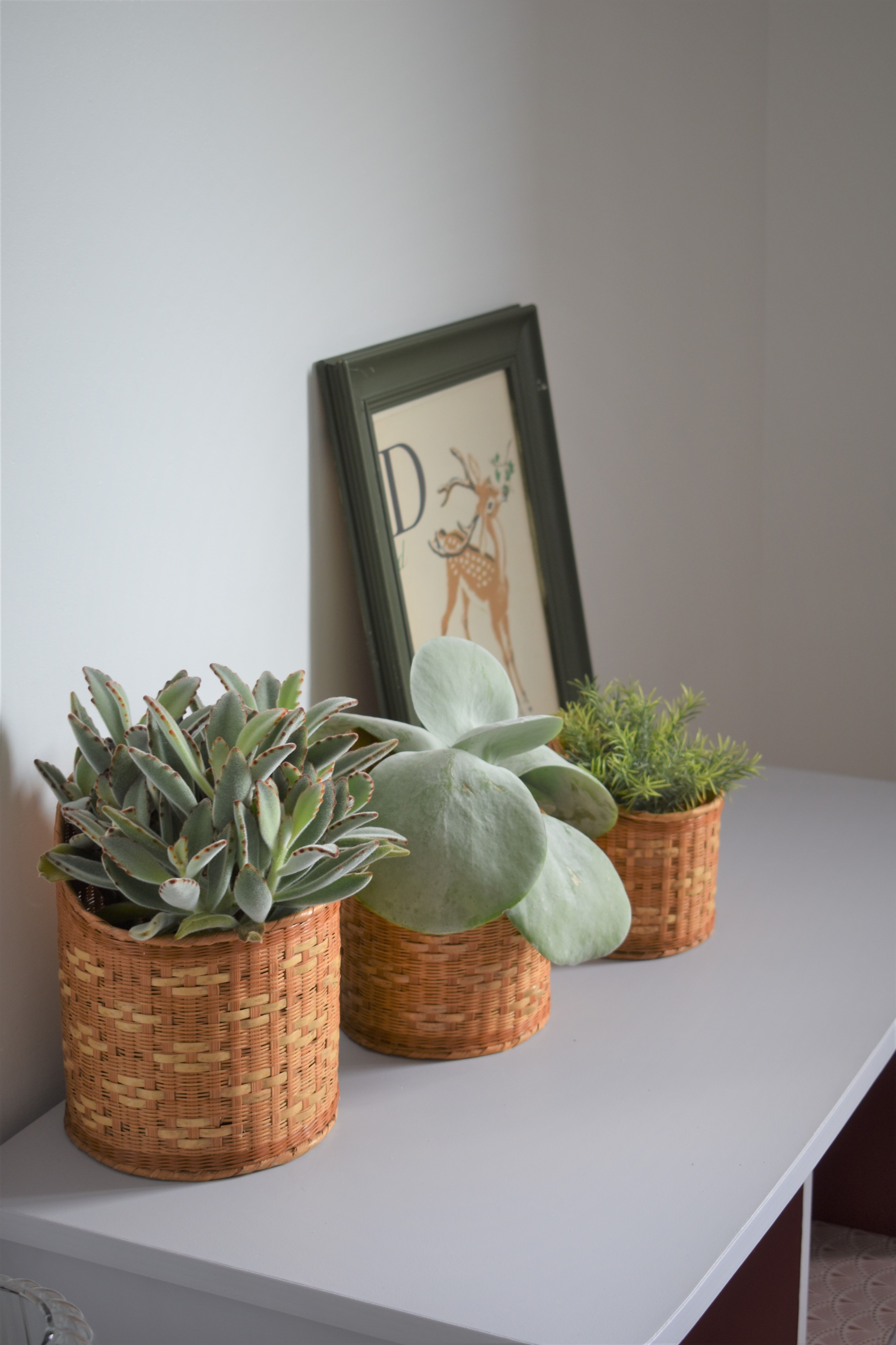 Trio of walled jar cache in braided wicker