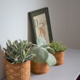 Trio of walled jar cache in braided wicker