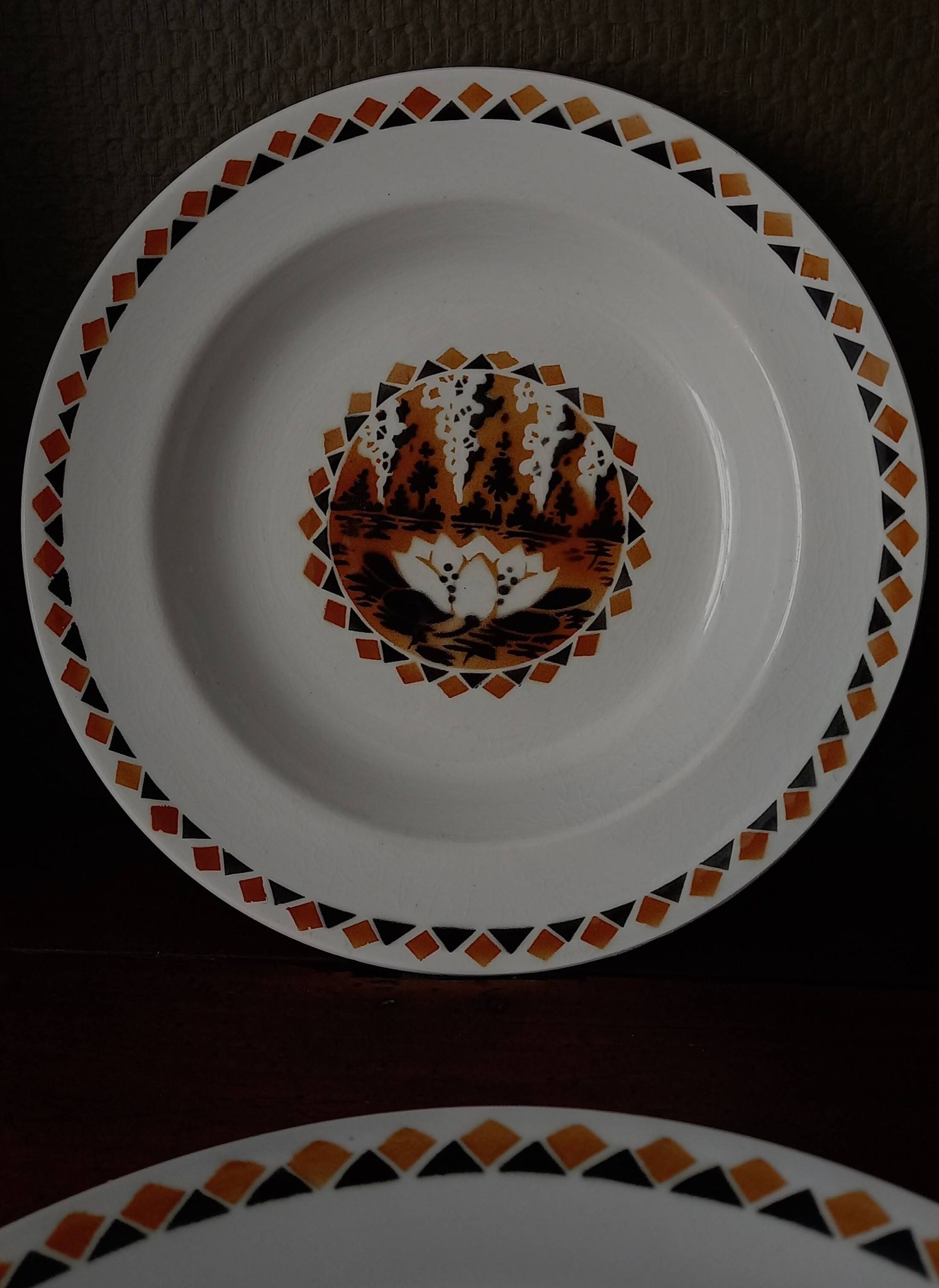 Set of 10 large ironstone Art Deco plates Saint-Amand Water Lily