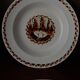 Set of 10 large ironstone plates Art Deco Saint-Amand Water Lily