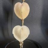 Curiosity cabinet globe with Venus heart shells corculum cardiss