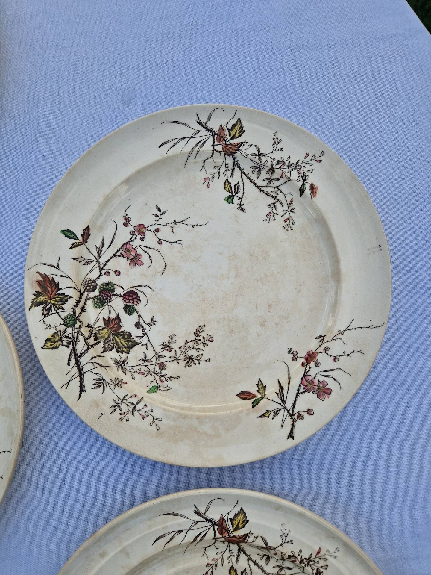 Set of 12 Terre De Fer Plates Manufacture Moore & Co Model Como