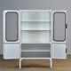 Glass & Iron Medical Cabinet, 1970s