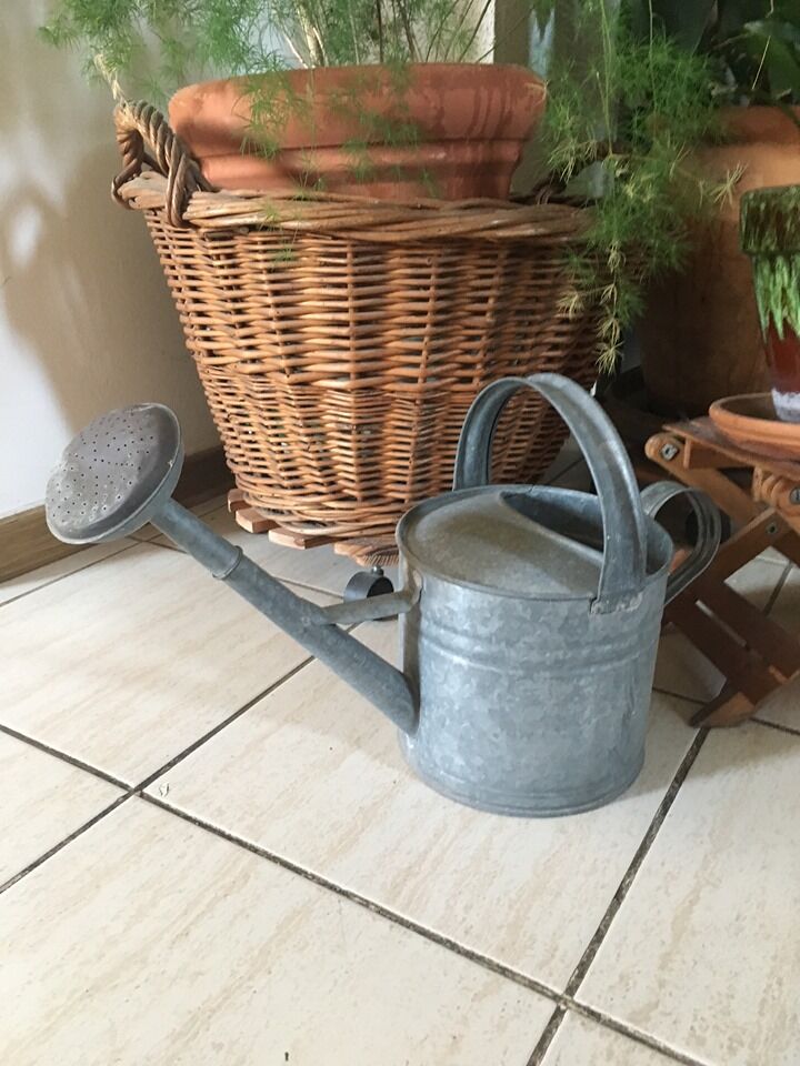 Zinc watering can