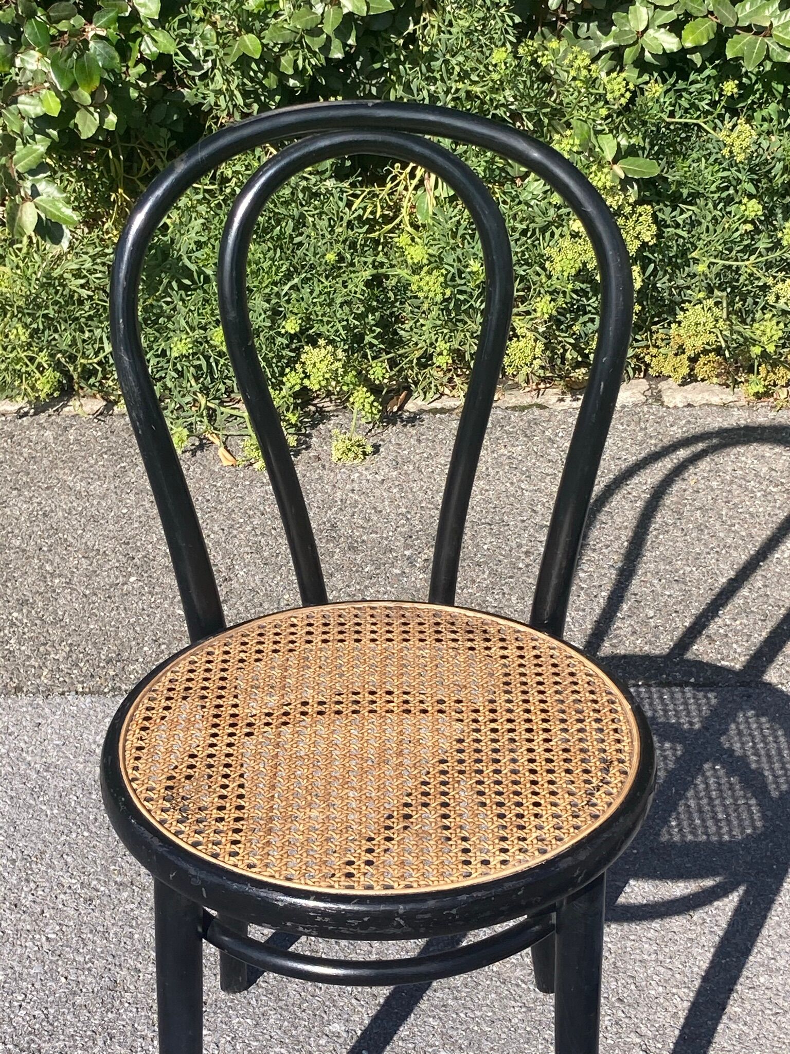 Curved wooden canework chair