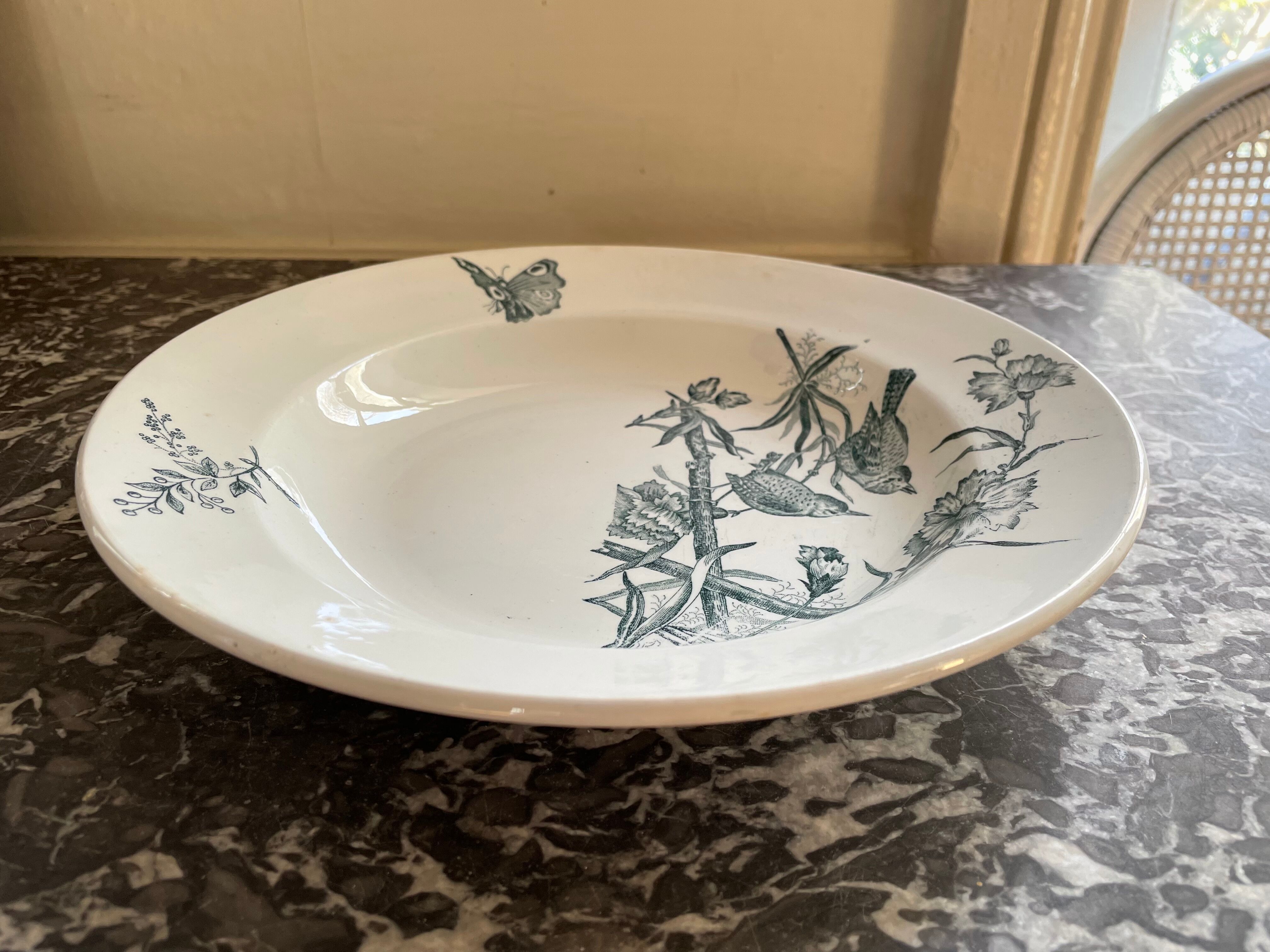 Hollow dish Saint Amand & Hamage "Aucella"