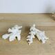 3 coraux blancs anciens