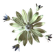 Applique fleur