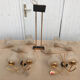 Stellar vintage lighting