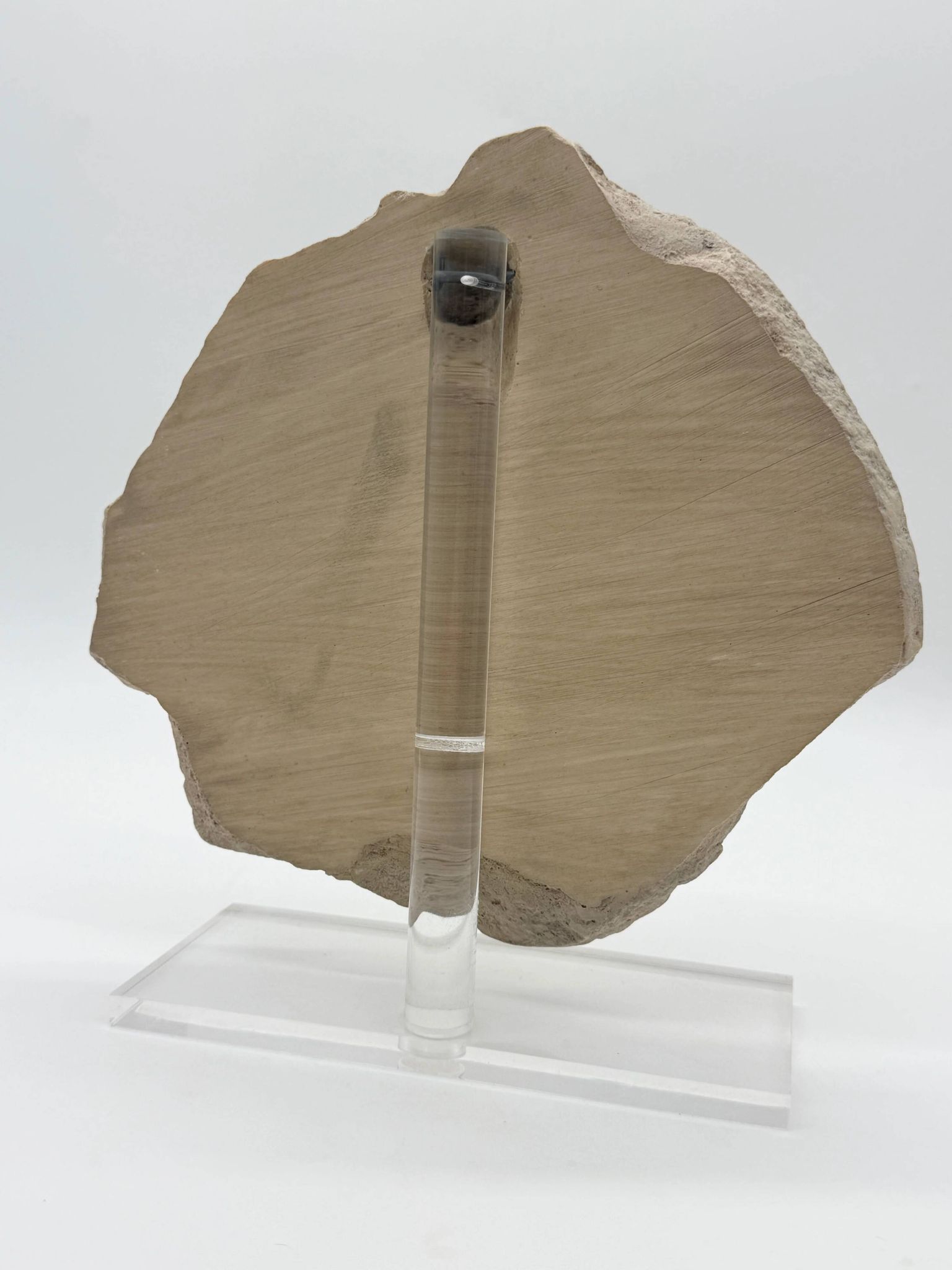 Masque de femme XIVe – reproduction musée du Louvre