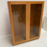 Scandinavian teak display case