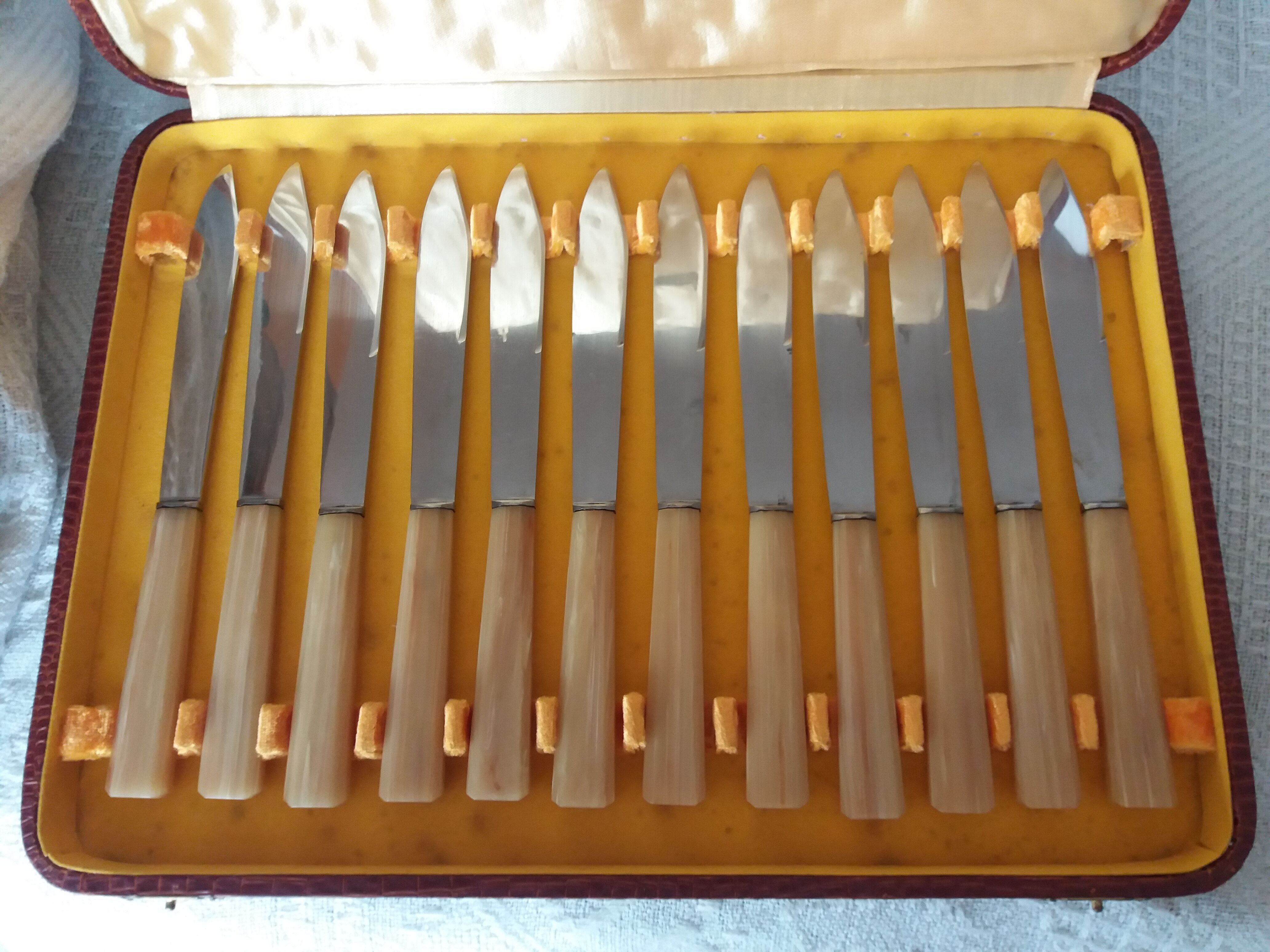 Knives in their snakeskin look box