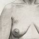 Large drawing from the 20s "Female nude"