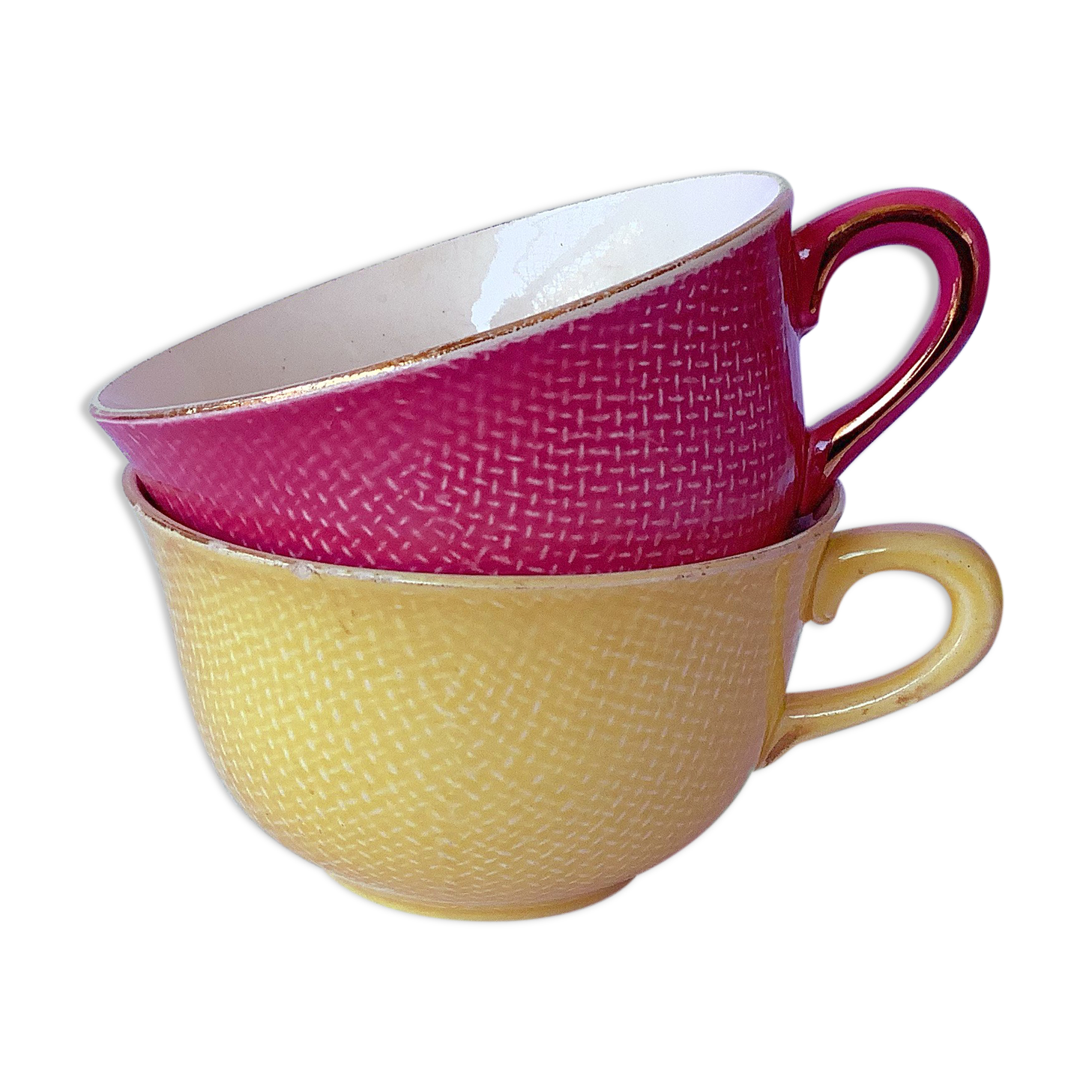 Salins France cups great model