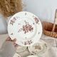 Set of 5 flat plates iron earth K&G Lunéville