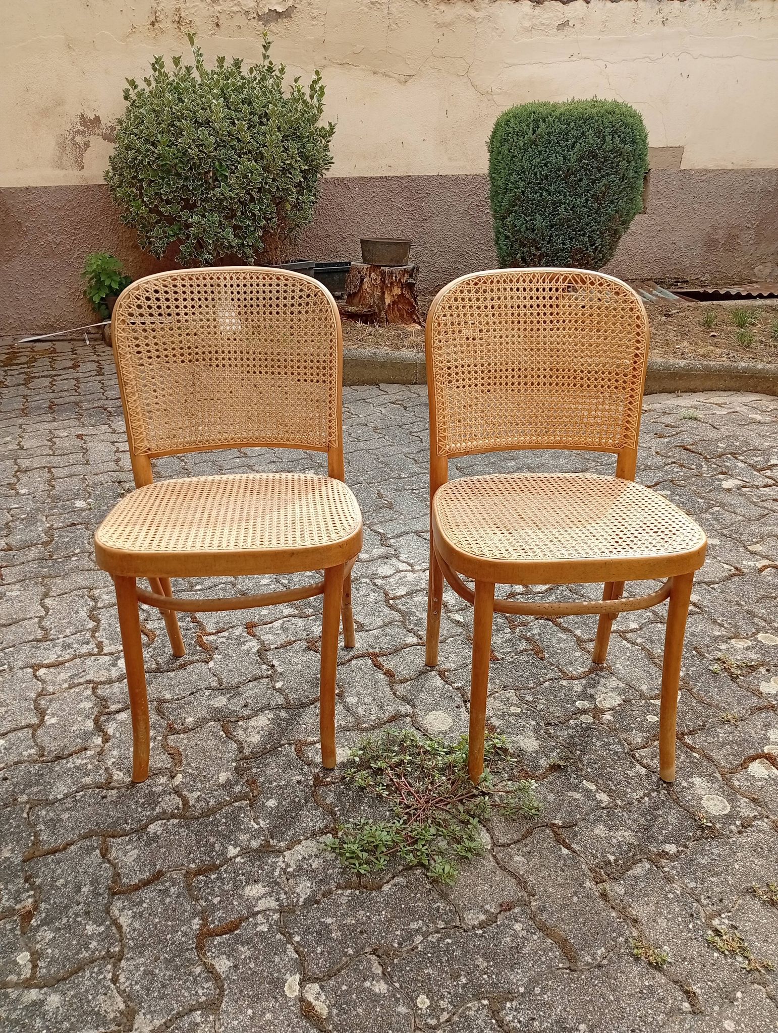 Lot de 5 chaises de bistrot