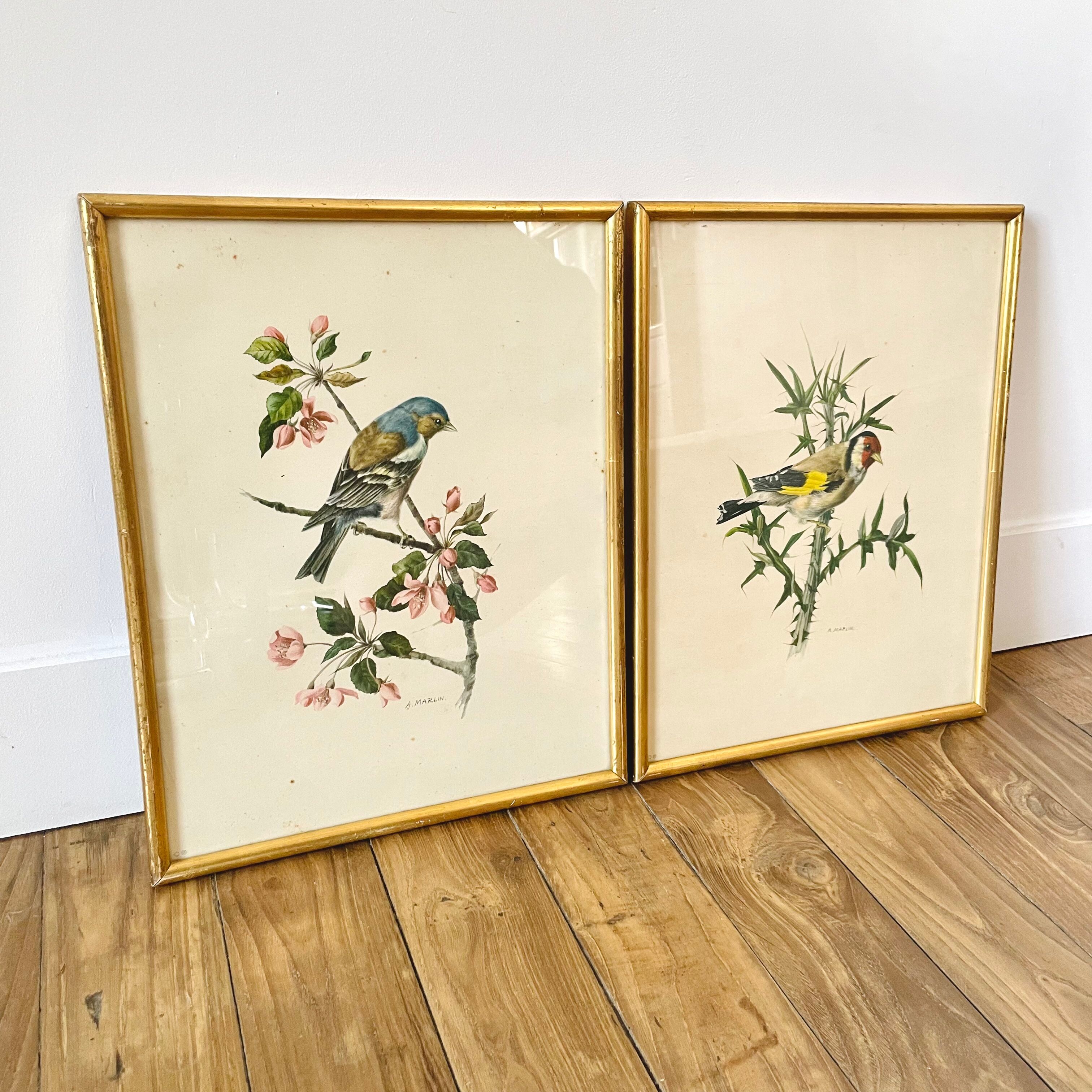 Lot of two illustration bird by To. Spearfish