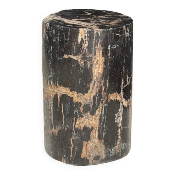 Table d'appoint en bois pétrifié noir