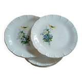 6 antique dessert plates from Digoin and Sarreguemines