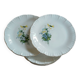 6 assiettes à dessert anciennes Digoin et Sarreguemines