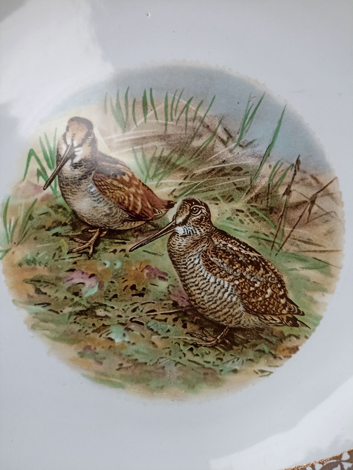 Longchamp game plates