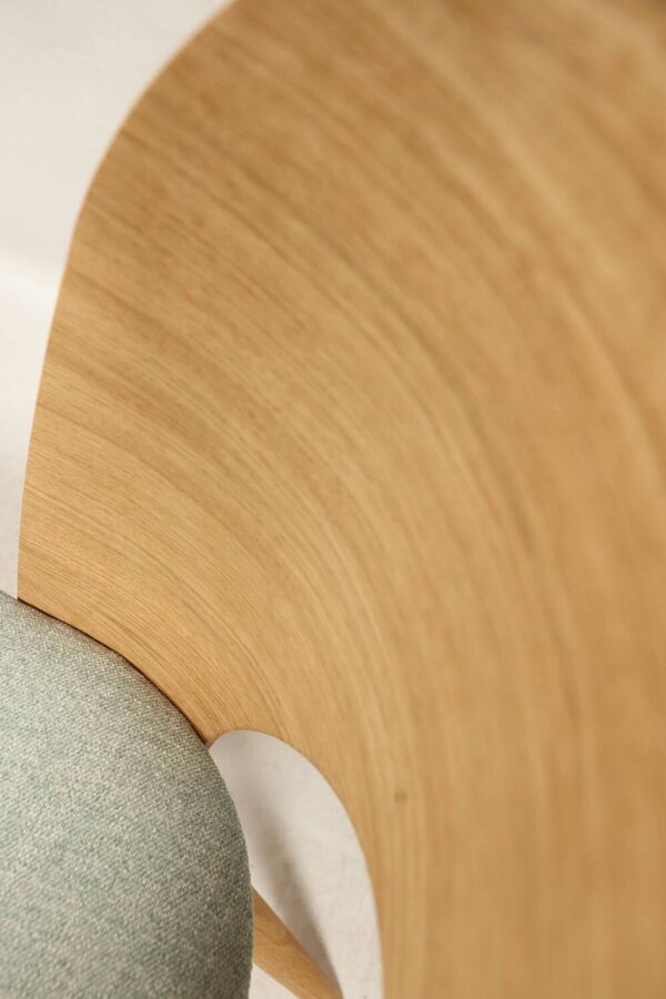 Chaises de salle à manger en chêne naturel, lot de 2/4/6/8, pour salle à manger, restaurants (HoReCa), bureau