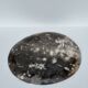 Medium petrified wood dish or pocket emptier, predominantly gray 1137