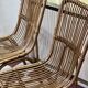 Paire de chaises en rotin