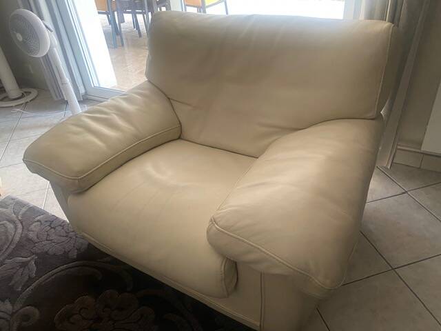 Roche Bobois sofa