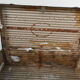 Old wooden, iron and brass trunk