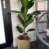 Cache pot