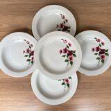Set of 5 hollow porcelain plates