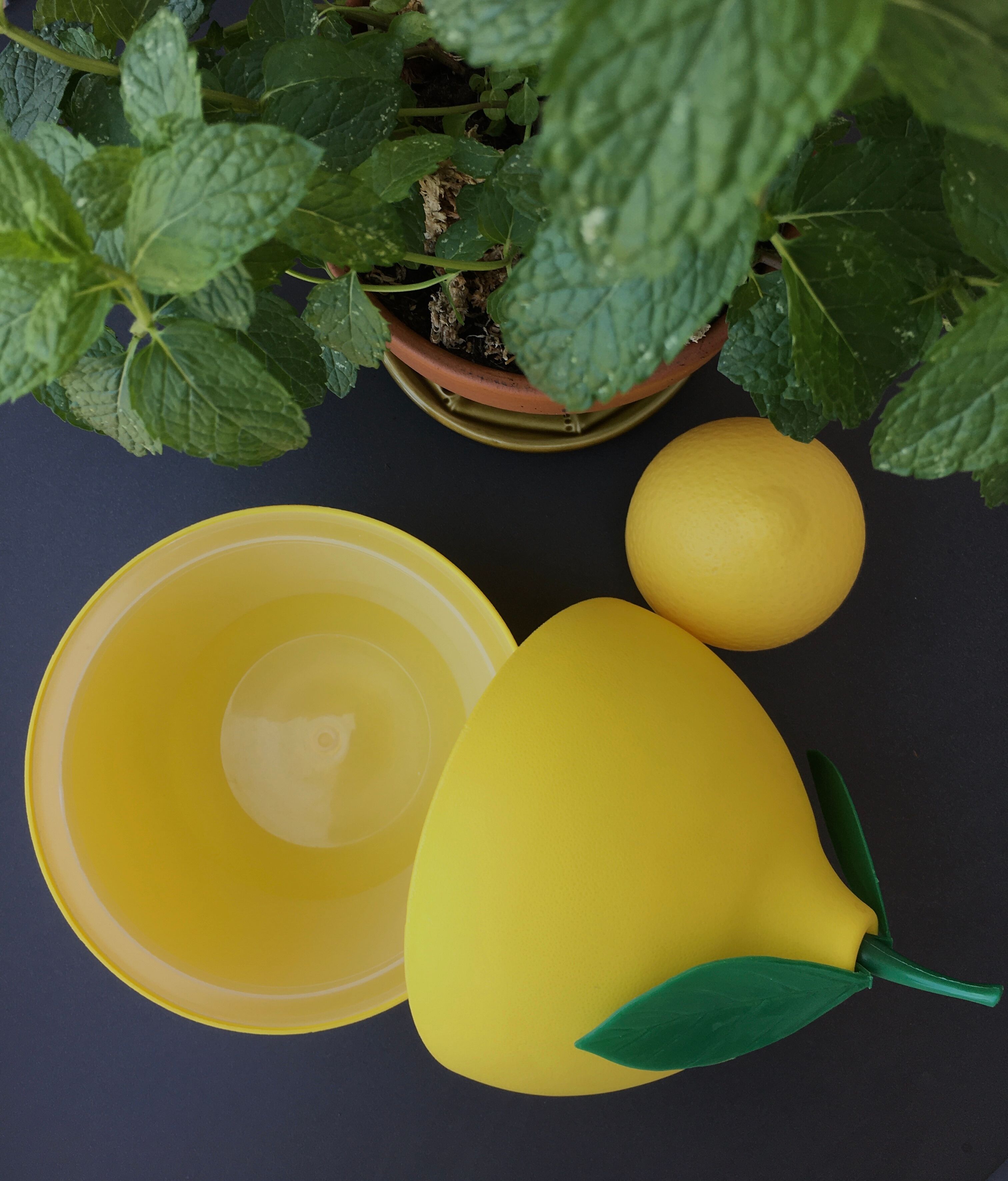 Vintage lemon ice cube tray