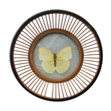 Butterfly frame