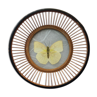 Butterfly frame