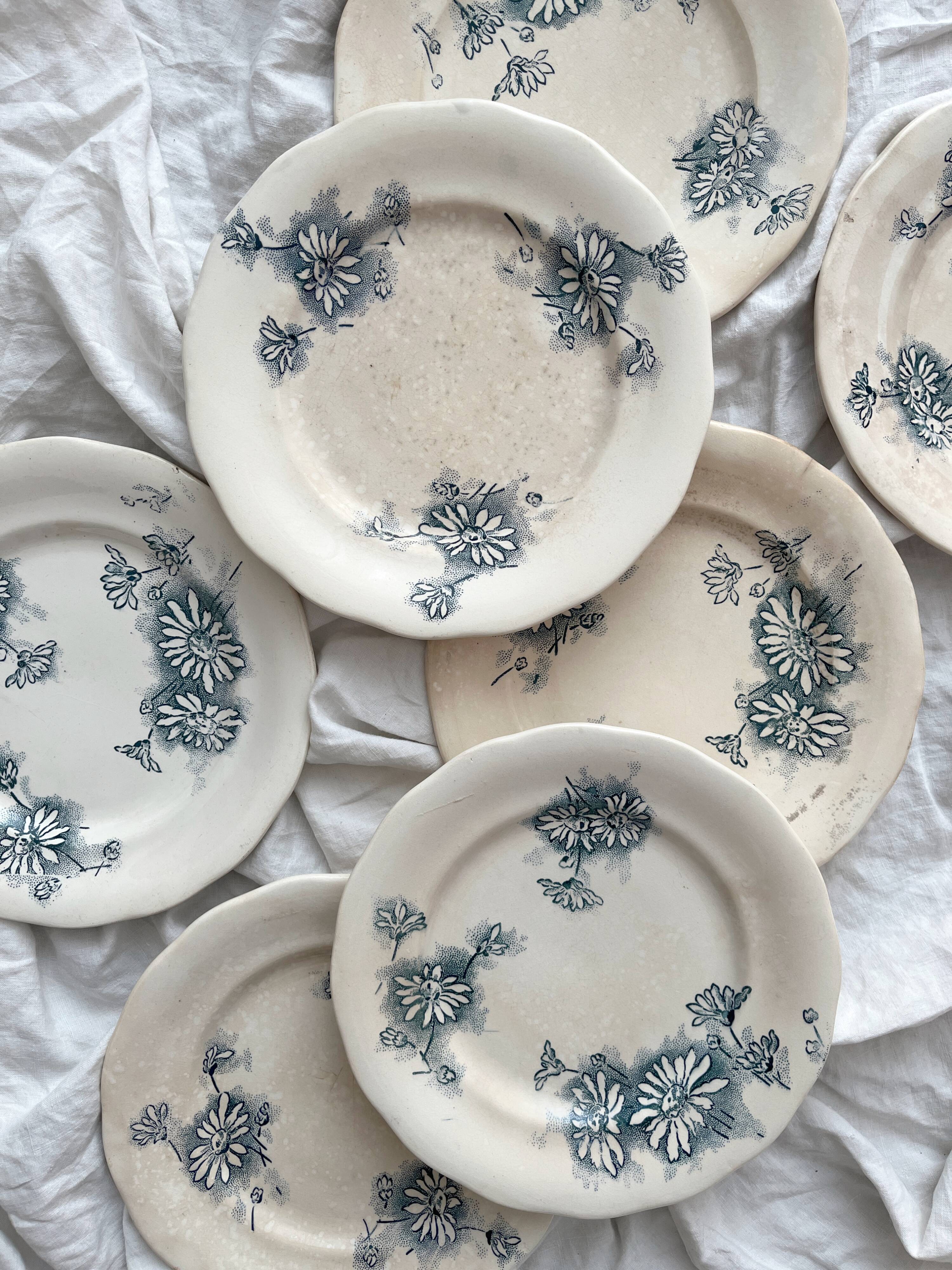 7 "Marguerite" ironstone dessert plates from the Nouvelle Givors pottery factory