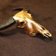 Golden buffalo skull