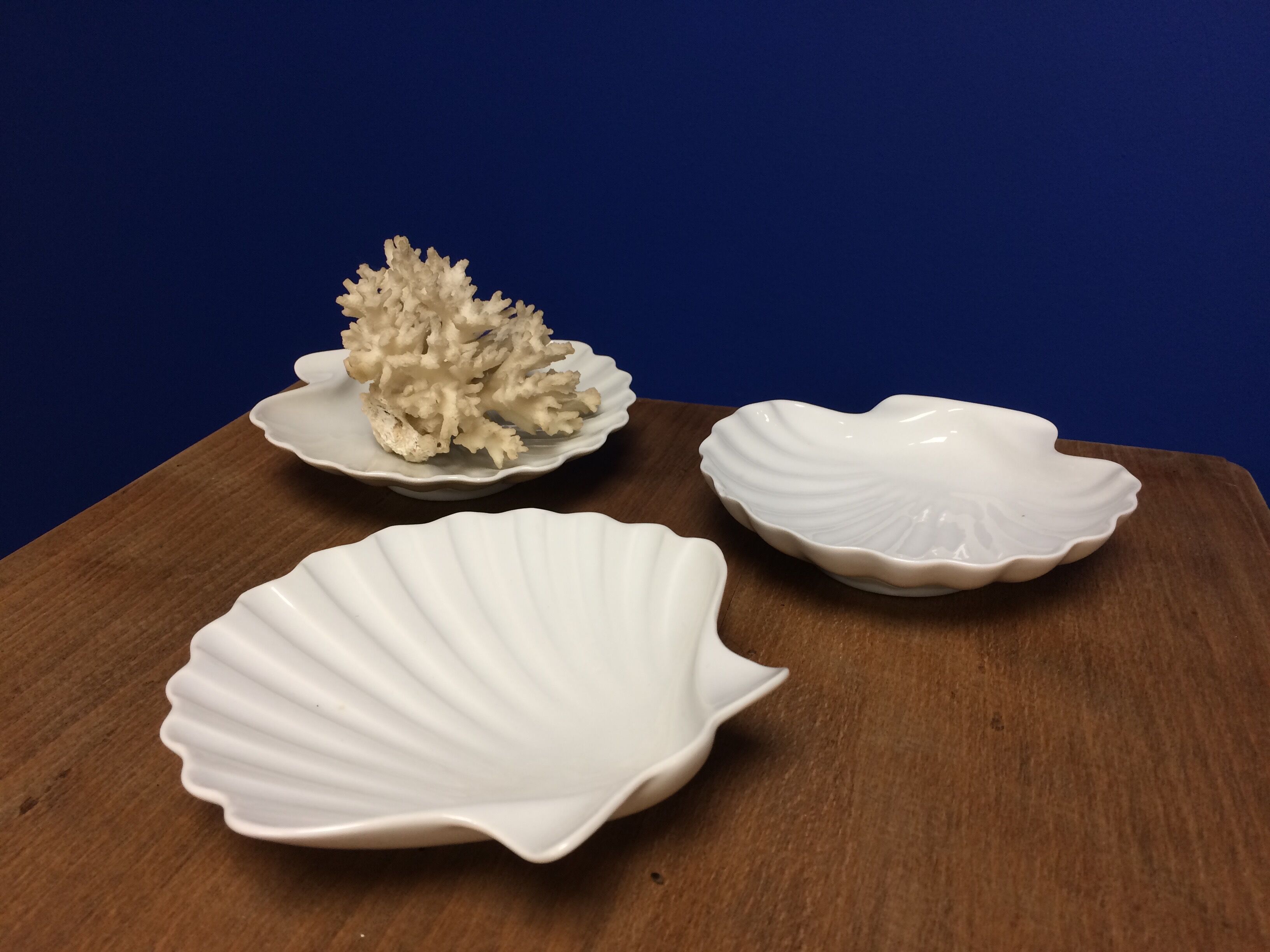 Three cups scallops in porcelain