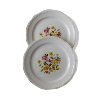 Set de 2 assiettes Moulin des loups France