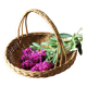 Round wicker basket with a rigid handle.
