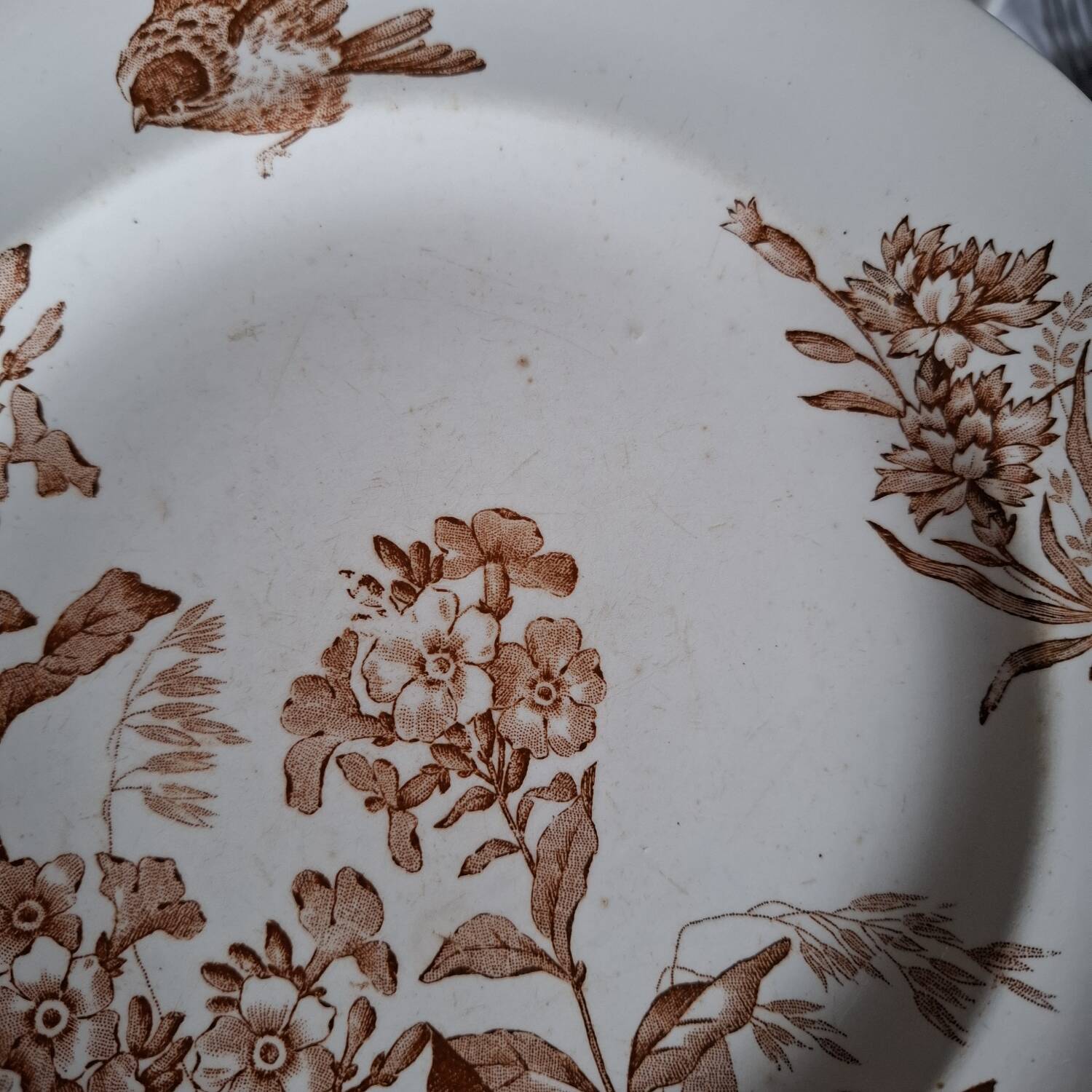 Antique iron earthenware plates accompanied by dishes