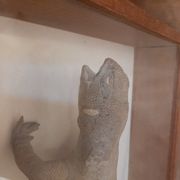 naturalized tail-whip lizard