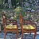 Pair of Empire style armchairs
