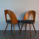 Set 6 chairs Walnut Suman by MIER, Mid-Century Czechoslovakia 1960 s
