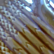 5 asparagus plates, 1 Sarreguemines dish L1 / 200106