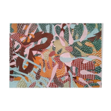 Illustration flowers Madeira