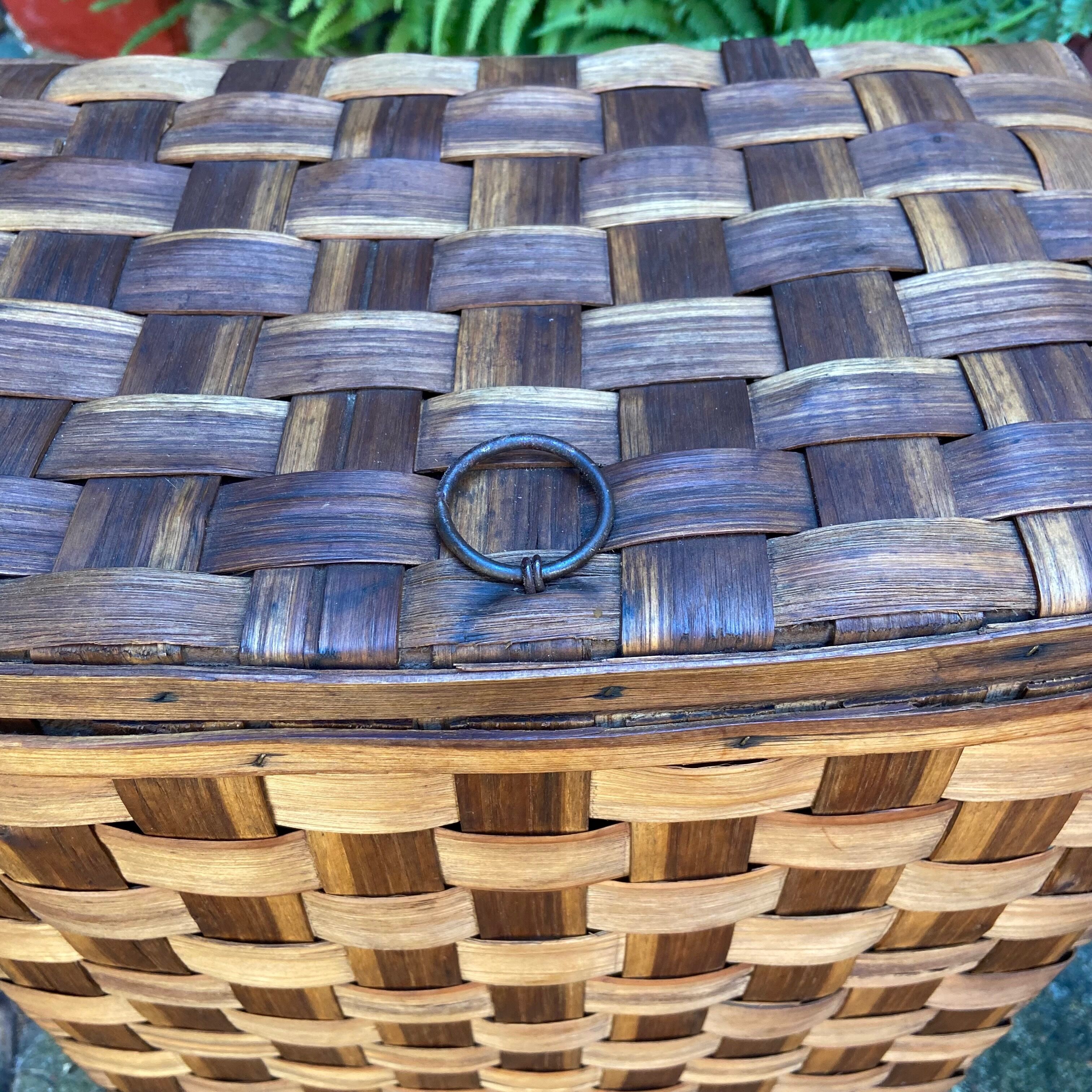 Chestnut chest braided-50s