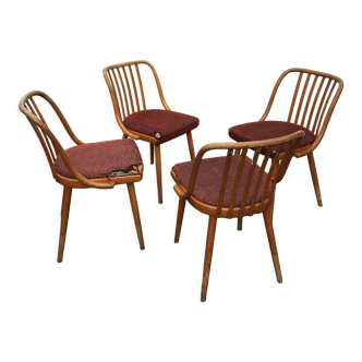 Lot de 4 chaises d'Antonin Suman années 60, Tchécoslovaquie