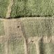 Magnificent new Beni ouarain water green carpet 200x300 cm