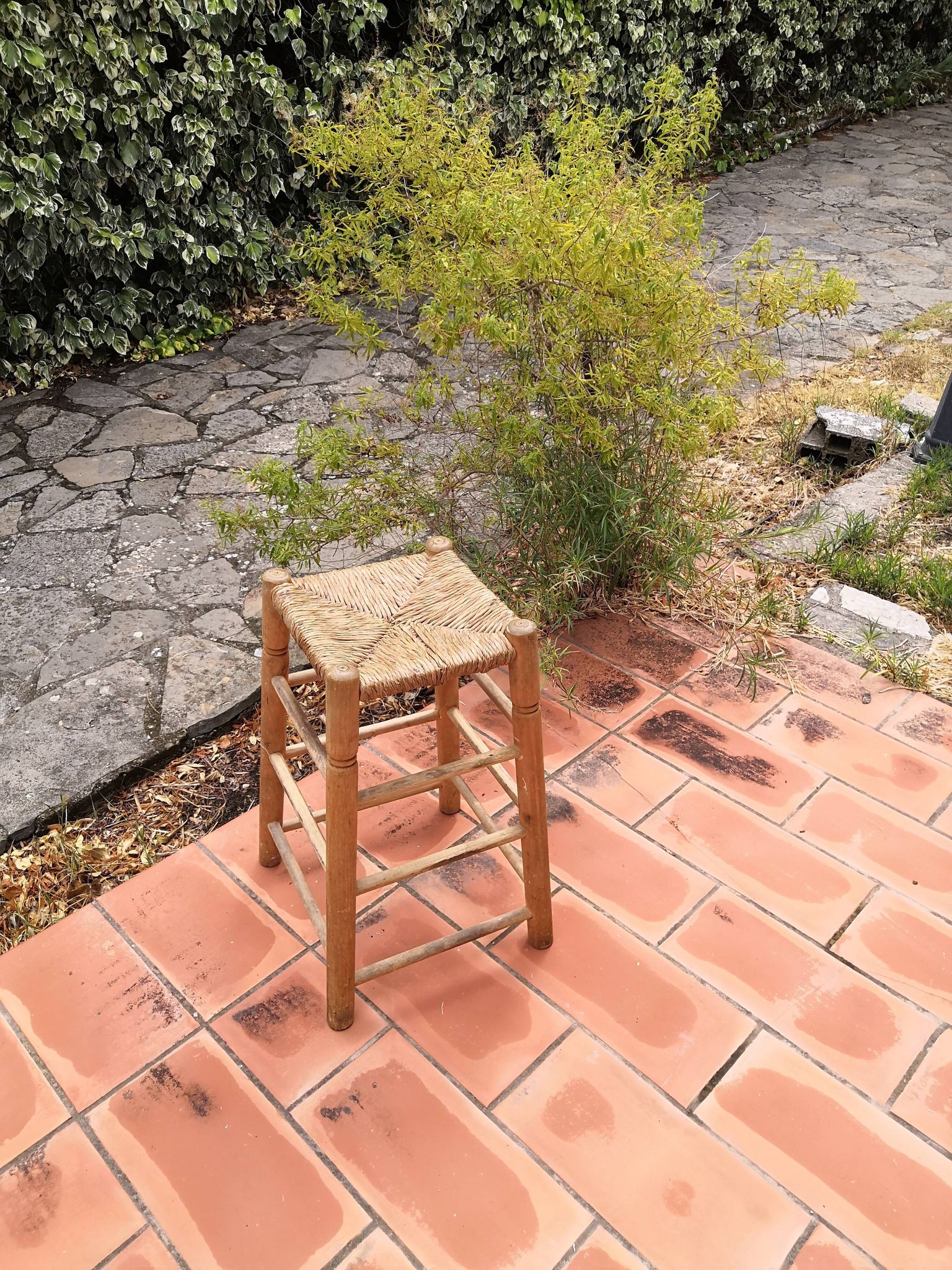 Rush and birch stool DLG Charlotte Perriand 1960